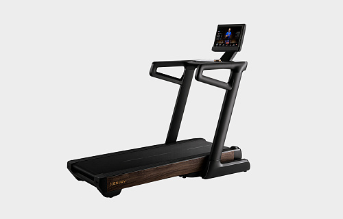  Домашняя беговая дорожка Xenjoy XT5
