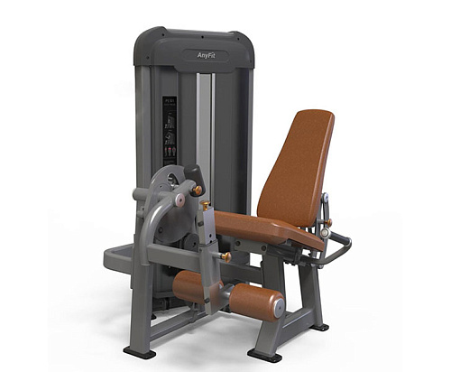 Разгибание ног Anyfit PE201-123
