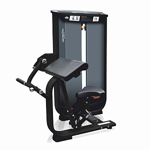 Купить Силовой тренажер Ultra Gym Бицепс-машина UG-CL506 в Москве