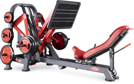 Нагружаемый дисками тренажер Panatta FreeWeight Special 1FW085