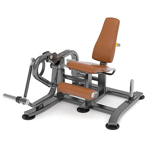Купить Силовой тренажер Anyfit Разгибание ног на свободных весах T05 в Москве