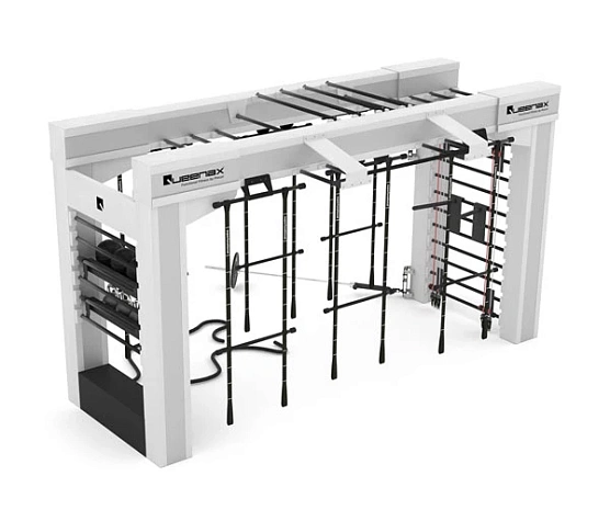 Многофункциональный комплекс Queenax By Precor Функциональная рама на 11 станций BRIDGE X2 500