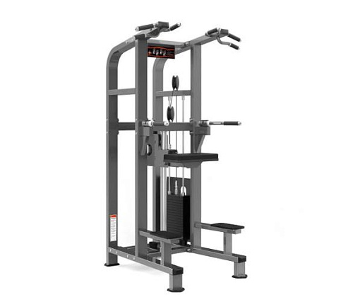 Купить Гравитрон Realleader PF-1008 в Москве