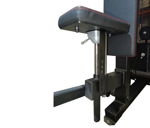 Баттерфляй UFC