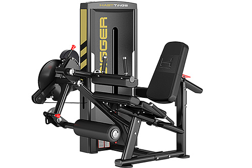Купить Сгибание / разгибание ног сидя Hasttings Digger HD037-1 в Москве