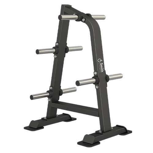 Купить Стойка для дисков Smith Fitness Excellence DH-011 в Москве