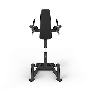 Купить Пресс / Брусья Spirit Fitness SP-4215 Пресс/брусья в Москве