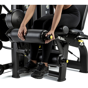 Купить Силовой тренажер Technogym Selection 700 Dual Leg Curl / Extension в Москве