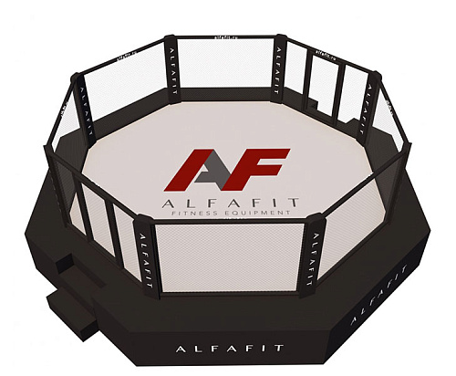 Октагон соревновательный AlfaFit на помосте высотой 1 м