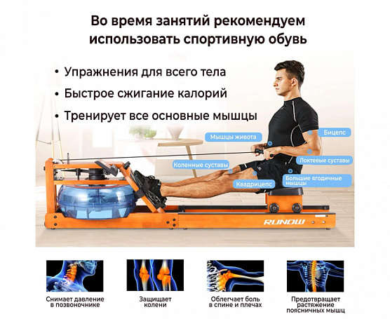 Гребной тренажер DFC Runow Golden Wood фото3