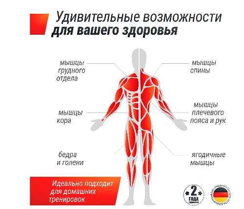 Гантель гексагональная обрезиненная Unix Fit 50 кг / шт.