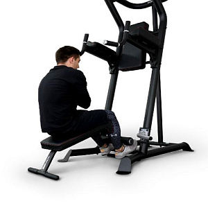 Купить Inspire VKR (VKR1.2B) Многофункциональный силовой турник в Москве