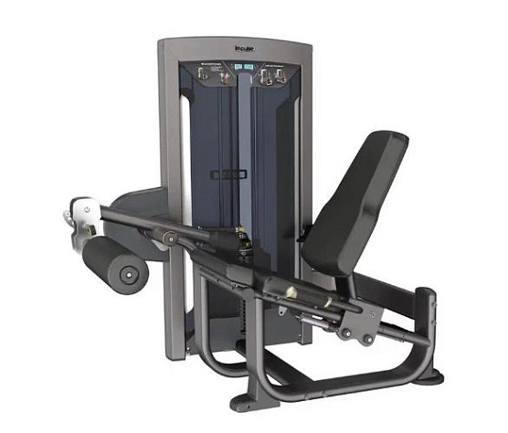 Грузоблочный тренажер на нижнюю часть тела Aerofit Impulse FE9705 Разгибание ног