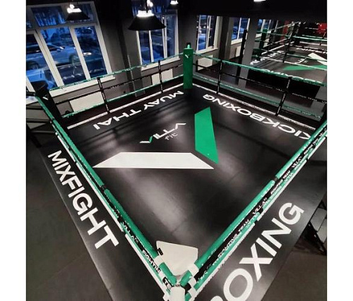 Ринг боксерский Targex на помосте 0,5 м 500х500х50