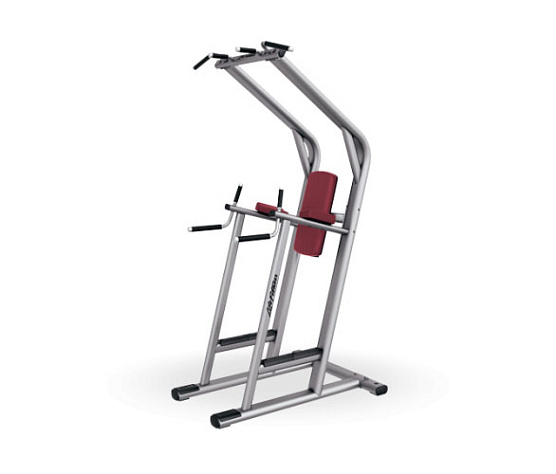 Пресс / Брусья / Турник Life Fitness SCDLR