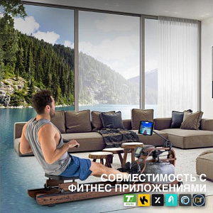 Купить Гребной тренажер First Degree Fitness Viking 3XL в Москве