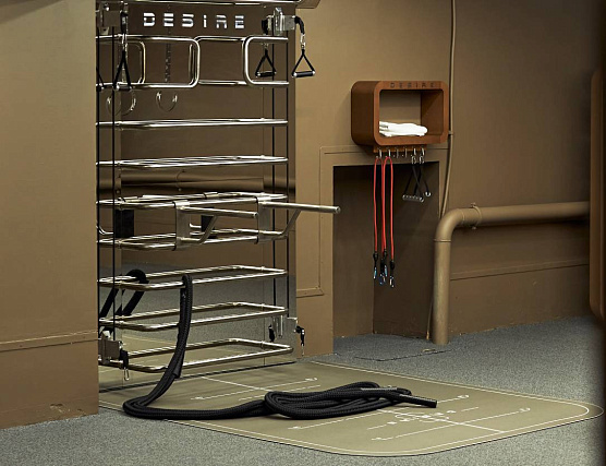 Многофункциональный комплекс с зеркальной стенкой и элементами из нержавеющей стали Desire Prime Vision фото6