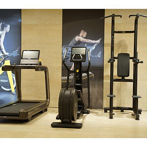 Купить Technogym Chin Up Dip Leg Raise	 в Москве