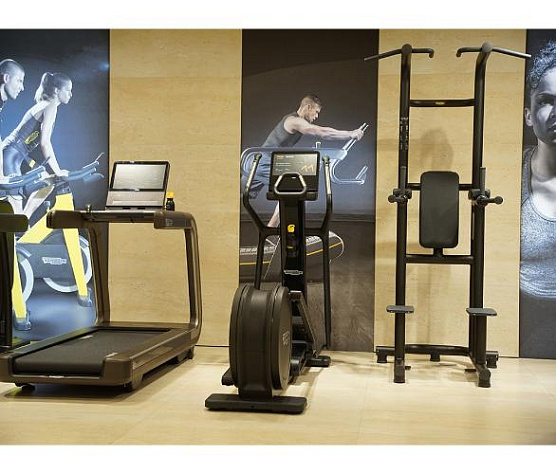 Стойка турник/брусья/пресс Technogym Chin Up Dip Leg Raise фото7