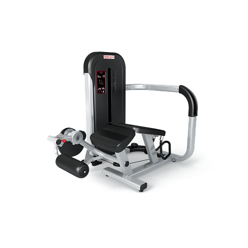 Купить Сгибание ног лежа Panatta Monolith 1MTH082 в Москве