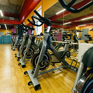 Купить Велотренажер Aerofit PS300E в Москве