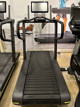 Беговая дорожка Technogym Беговая дорожка Technogym Skillrun (с пробегом)