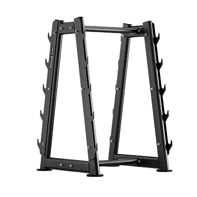 Стойка для штанг Bronze Gym RAVE RE66