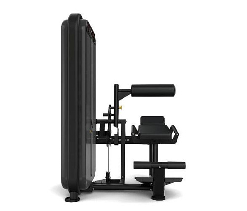 Скручивание / Разгибание спины Vision Fitness