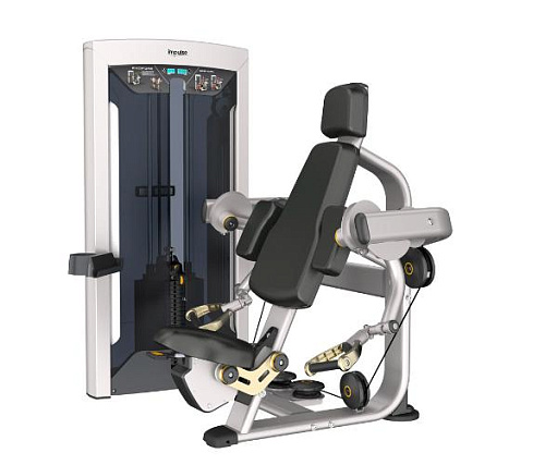 Бицепс-машина Aerofit Impulse FE9703 Купить Бицепс-машина Aerofit Impulse FE9703 в Москве