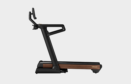  Домашняя беговая дорожка Xenjoy XT5