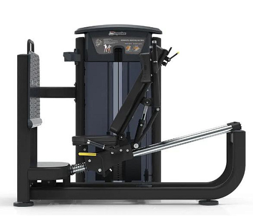 Жим ногами / Гак-машина 2 в 1 (профессиональный) Aerofit Impulse IT9539