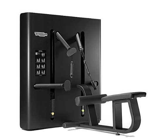 Грузоблочный тренажер на верхнюю часть тела Technogym Kinesis Low Pull