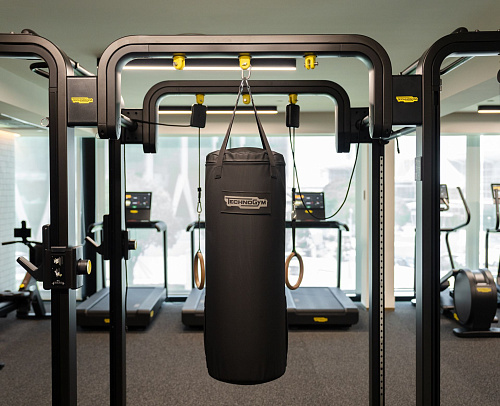 Груша «тяни-толкай» Technogym Push-N-Pull Bag