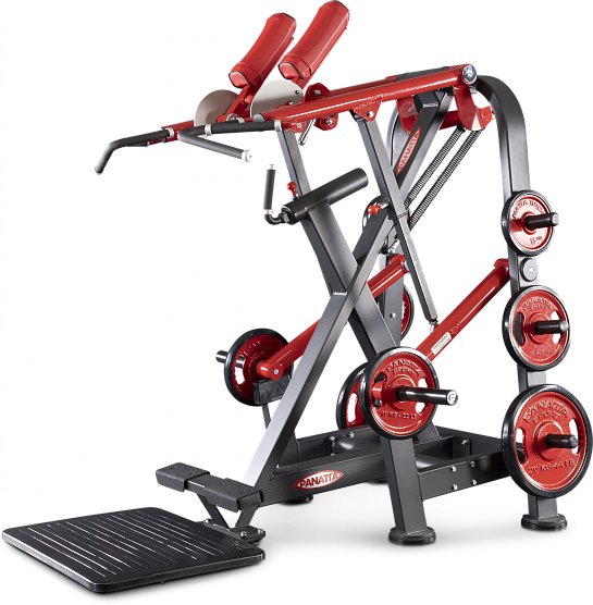 Нагружаемый дисками тренажер Panatta FreeWeight Special 1FW029