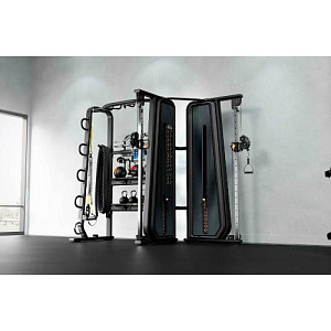 Купить Многофункциональный комплекс Matrix Fitness Connexus Crest GFTCRST функциональная рама  в Москве