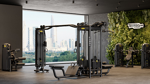 Силовой тренажер Technogym Cable Stations 5