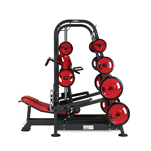 Купить Нагружаемый дисками тренажер Panatta FreeWeight Special 1FW093 в Москве