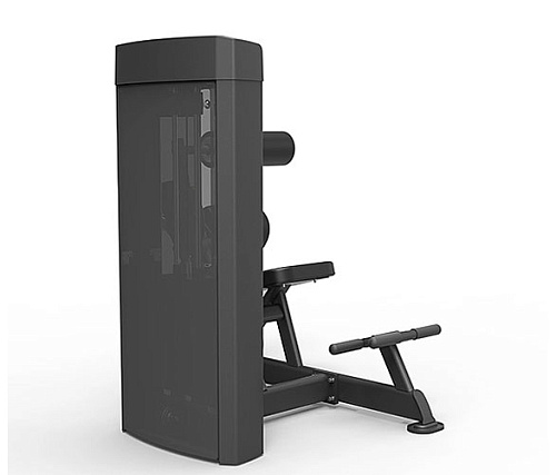 Пресс / разгибание спины Spirit Fitness SP-4609