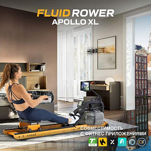 Купить Гребной тренажер First Degree Fitness Apollo XL в Москве