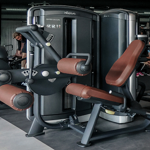 Сгибание ног сидя INTENZA DL-08