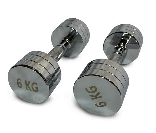 Купить Гантель круглая хромированная Unix Fit PRO 6 кг / шт. в Москве