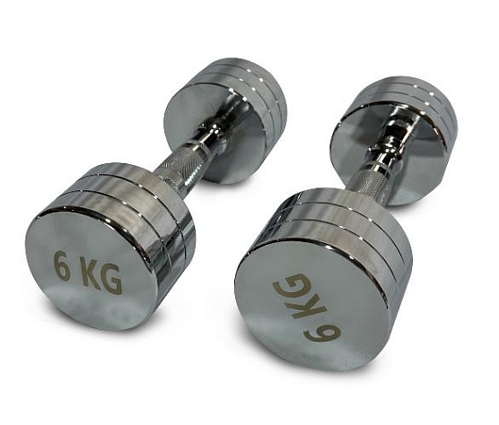 Unix Fit PRO гантель круглая хромированная 6 кг / шт.