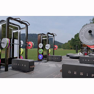 Купить Уличный комплекс Desire Gym Portal в Москве
