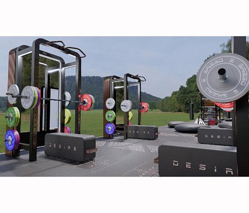 Уличный комплекс Desire Gym Portal