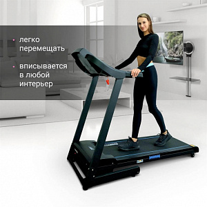 Купить Беговая дорожка Everyfit 74501B в Москве