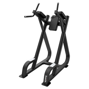 Купить Поднятие коленей / Брусья Smith Fitness Excellence SR007 в Москве
