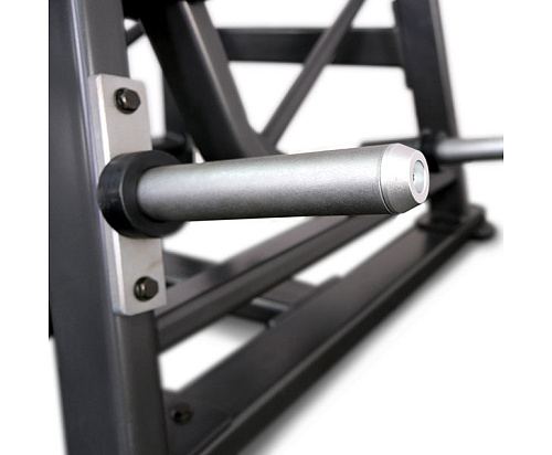 Вертикальная тяга на свободных весах Anyfit T02