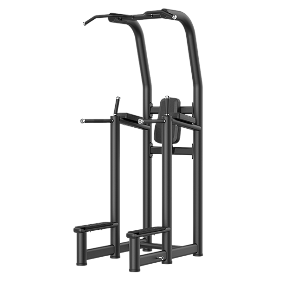 Smith Fitness Excellence Подтягивание/отжимание/поднятие коленей RE6008