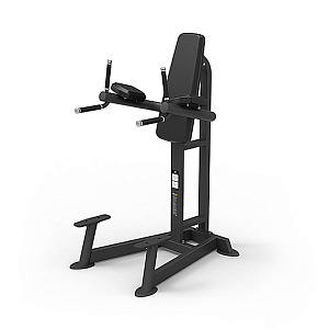 Купить Пресс / Брусья Spirit Fitness SP-4215 Пресс/брусья в Москве