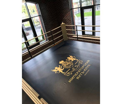 Ринг боксерский Targex на помосте 0,5 м 600х600х50